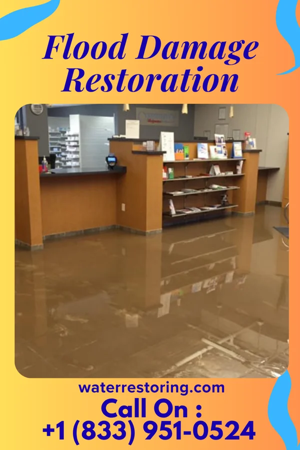 Flood Damage Restoration in Seneca Gardens, KY