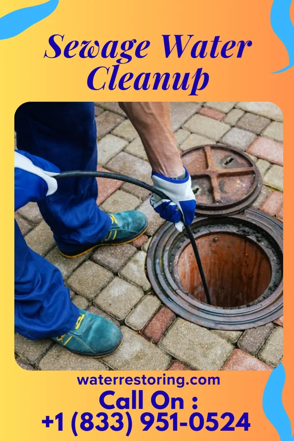 Sewage Water Cleanup in Seneca Gardens, KY