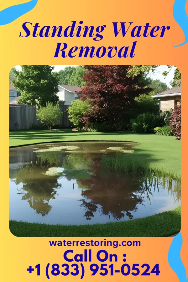 Standing Water Removal in Seneca Gardens, KY